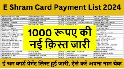 E Shram Card Payment List 2024