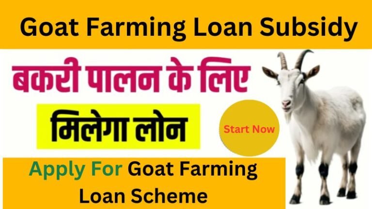 Goat Farming Loan Subsidy