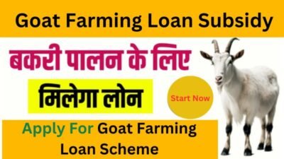 Goat Farming Loan Subsidy