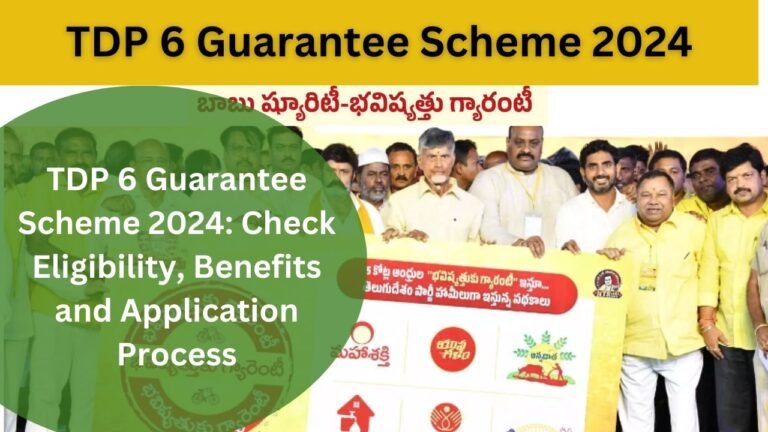 TDP 6 Guarantee Scheme 2024: Check Eligibility, Benefits and Application Process