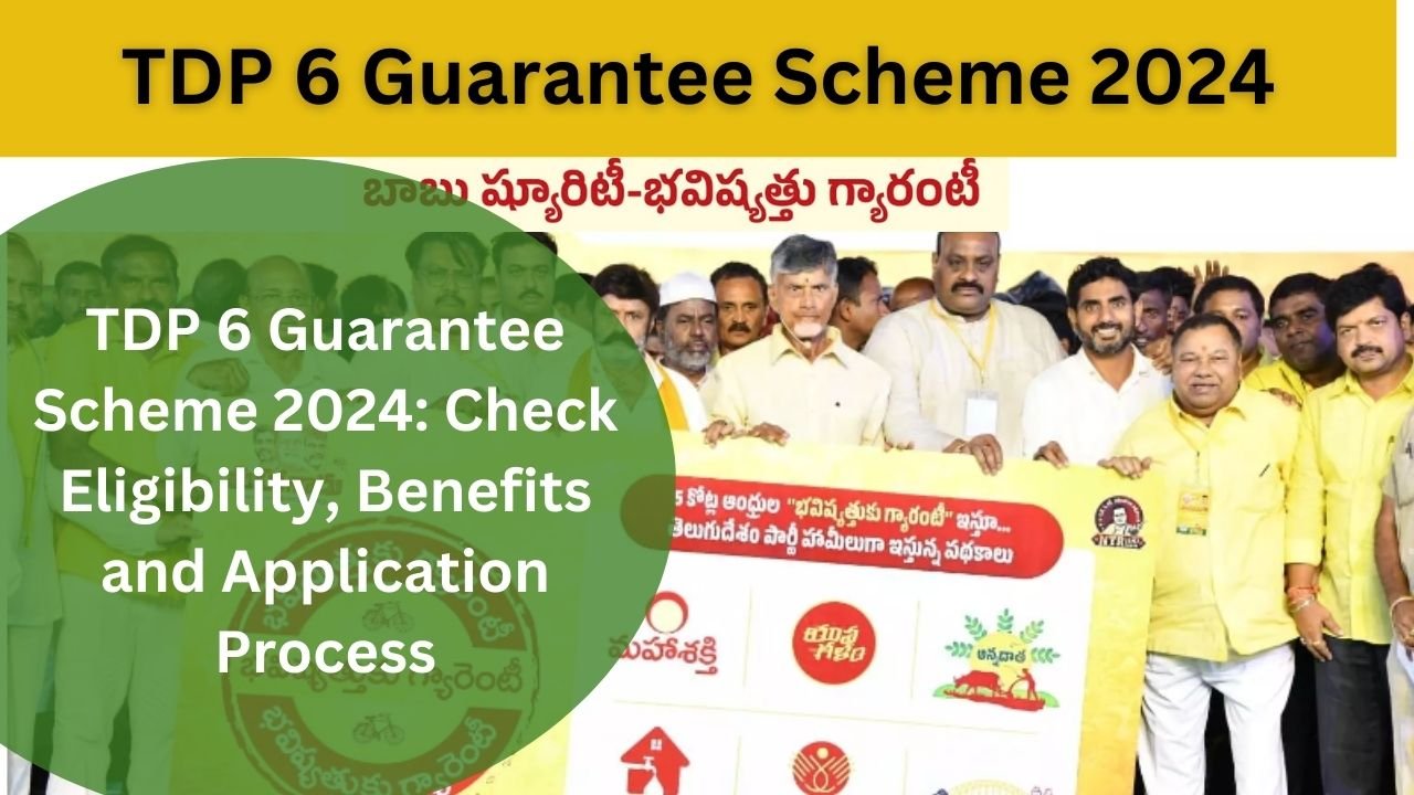 TDP 6 Guarantee Scheme 2024: Check Eligibility, Benefits and Application Process