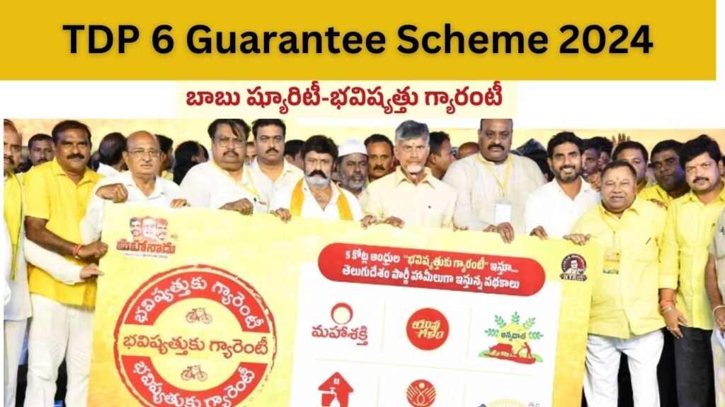 TDP 6 Guarantee Scheme 2024: Check Eligibility, Benefits and Application Process
